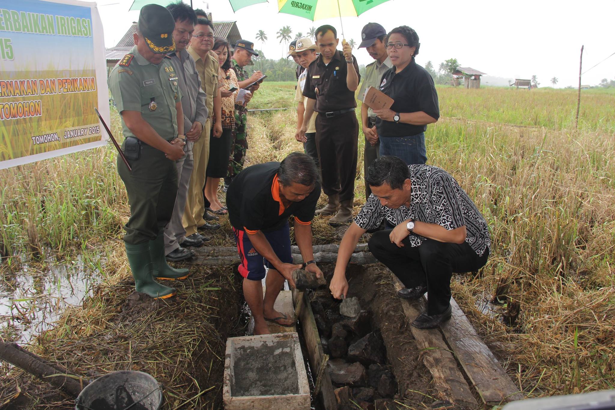 'Katuanaan' Taratara Jadi Lumbung Beras Tomohon